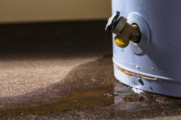 Best Carpet water damage restoration  in Upton, WY