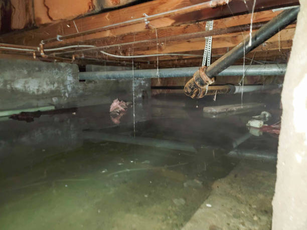 Best Basement water damage restoration  in Upton, WY