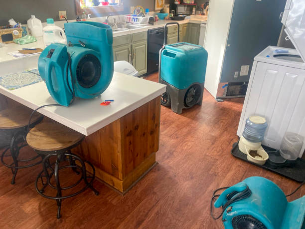 Best Flood damage cleanup  in Upton, WY