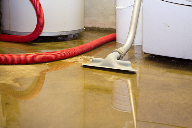 Best Water damage restoration near me  in Upton, WY