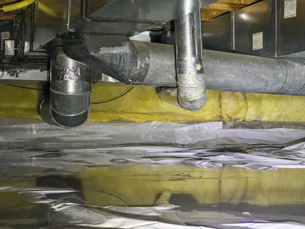 Best Water damage restoration process  in Upton, WY