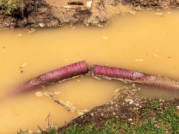 Professional Water damage restoration in Upton, WY