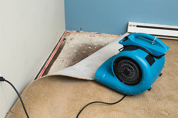 Best Water damage restoration cost  in Upton, WY